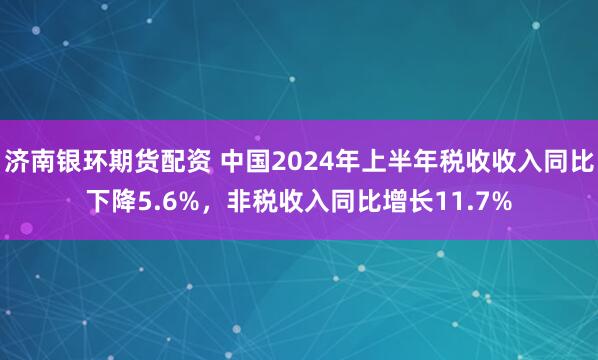 济南银环期货配资 中国2024年上半年税收收入同比下降5.6%，非税收入同比增长11.7%