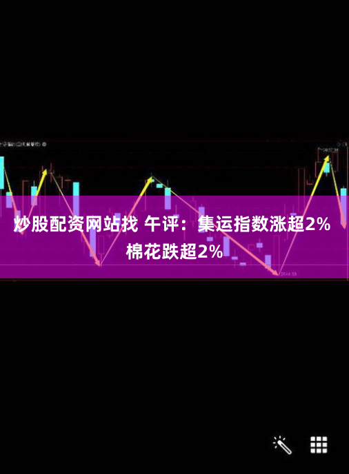 炒股配资网站找 午评：集运指数涨超2% 棉花跌超2%