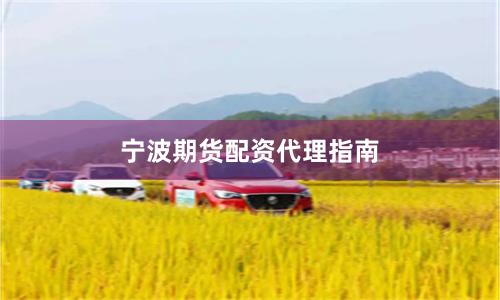 宁波期货配资代理指南