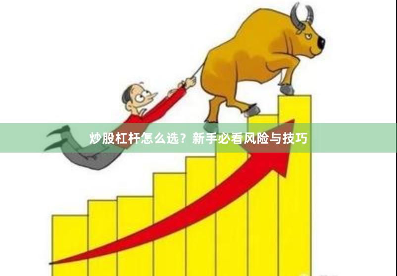 炒股杠杆怎么选？新手必看风险与技巧